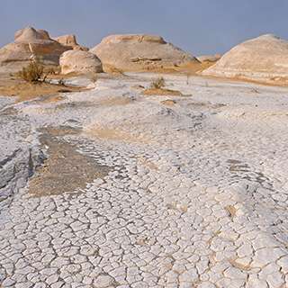 New White Desert